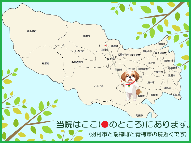 東京都市部地図。当院は羽村市と瑞穂町と青梅市の境近くにあります